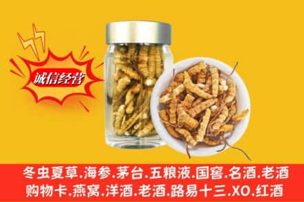 通化市回收散虫草